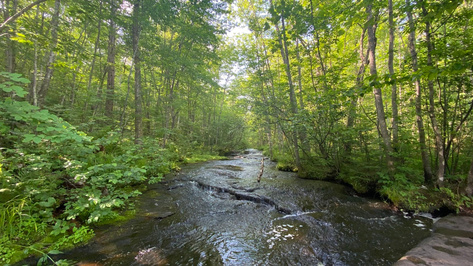 Banning State Park