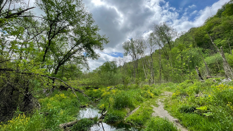 Beaver Creek Valley State Park