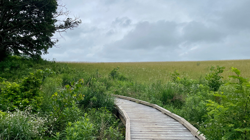 Cross Plains State Park