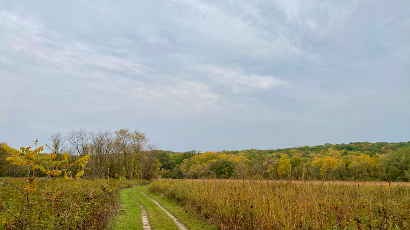 Forestville/Mystery Cave State Park