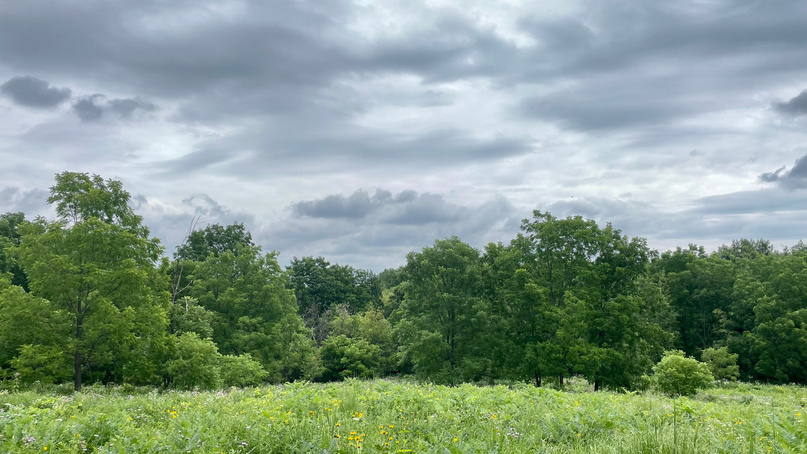 Governor Nelson State Park