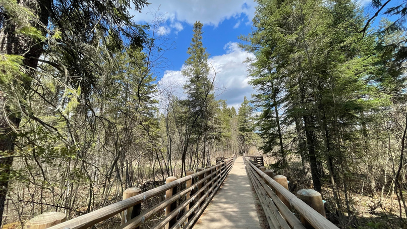 Itasca State Park
