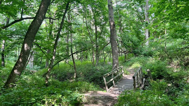 Kilen Woods State Park