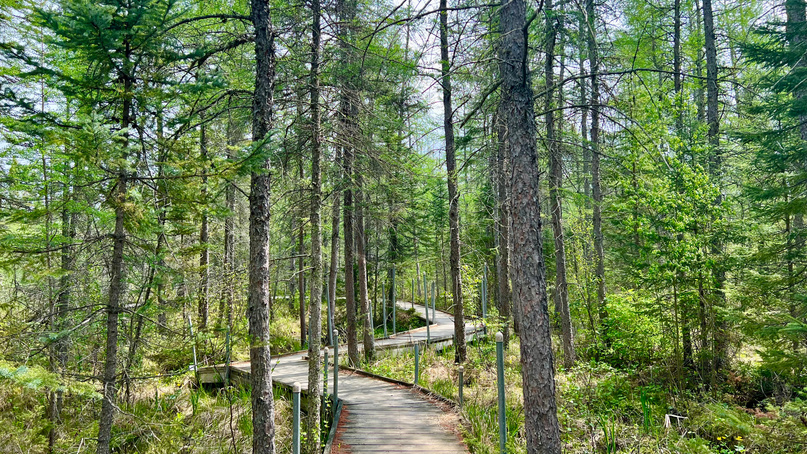 Lake Bemidji State Park