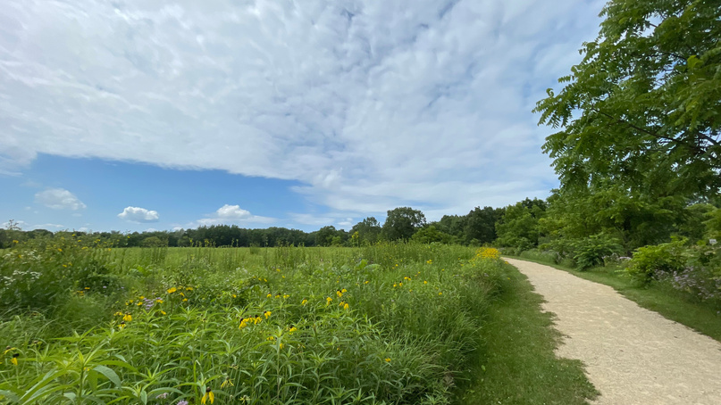 Lake Kegonsa State Park