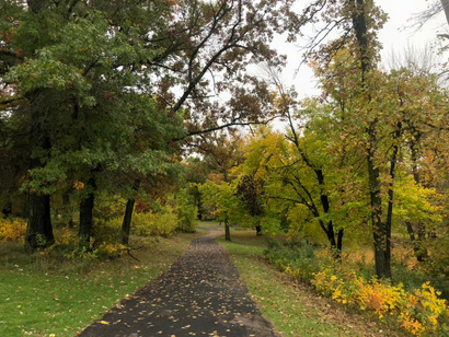 Lake Wissota State Park