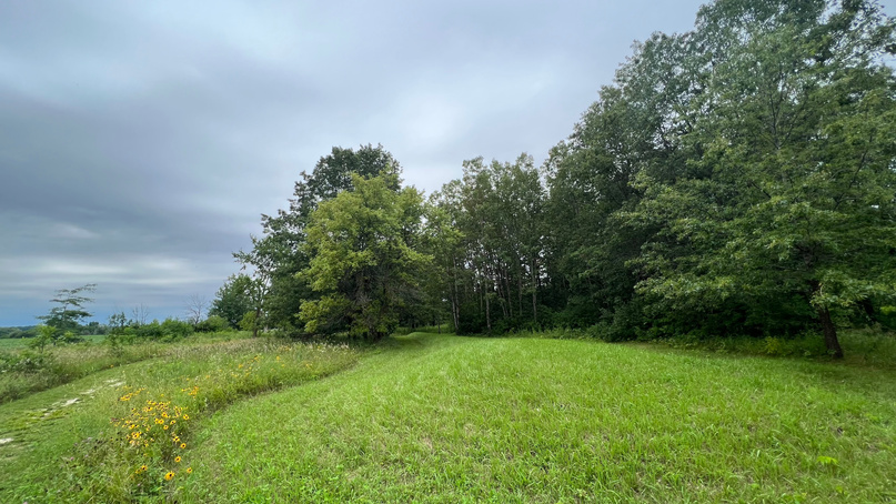 Lizard Mound State Park