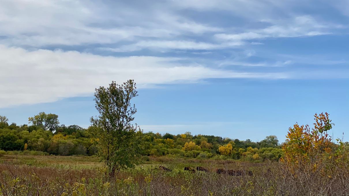 Minneopa State Park