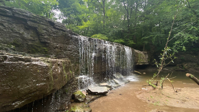 Nerstrand Big Woods State Park