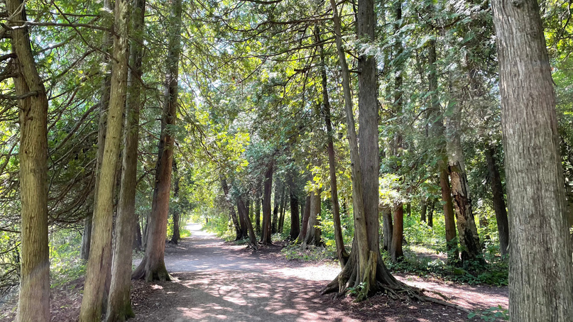 Peninsula State Park