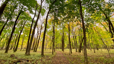 Rice Lake State Park