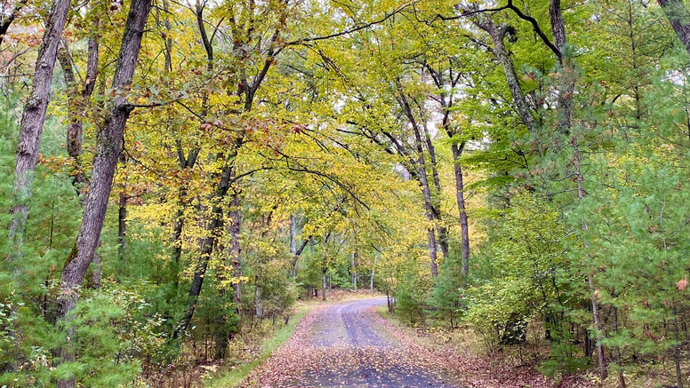 Roche-A-Cri State Park