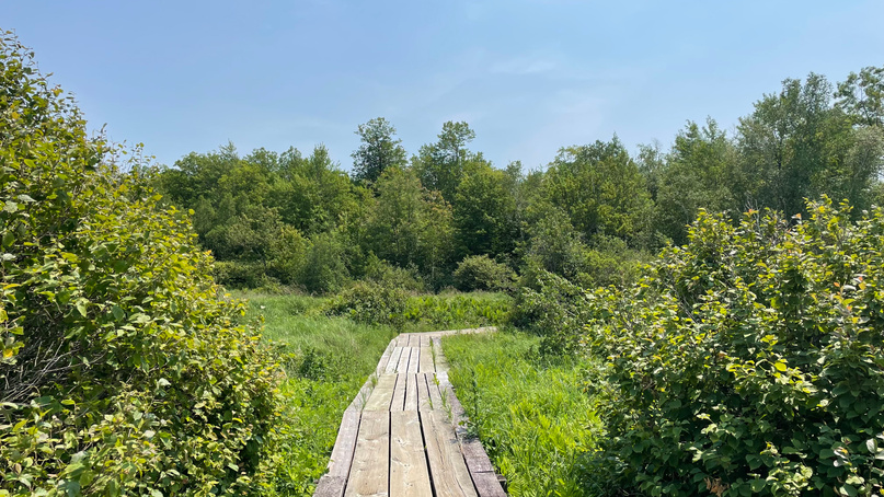 Savanna Portage State Park