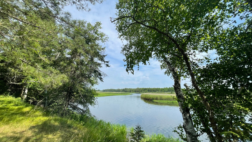 Schoolcraft State Park